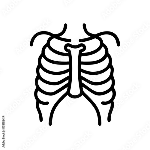 ribs