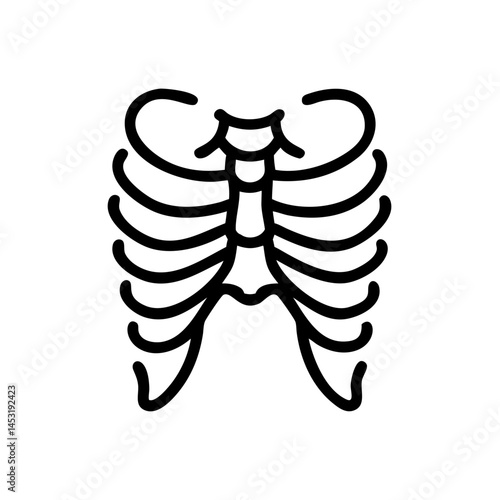 ribs