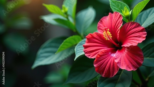 Wallpaper Mural Bold hibiscus blooms, lush tropical foliage, vibrant color burst , orange, intense, flowers Torontodigital.ca