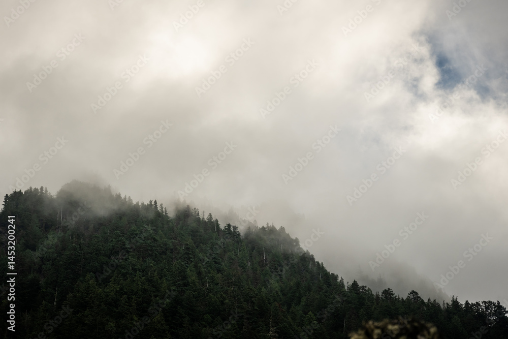 Thick Clouds Hang Low Over Mount Rainier