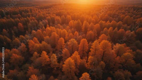 Blurred golden hour background design elements warm color overlapping forms soft focus sunset sunrise urban landscape nature photography abstract contemporary editorial commercial