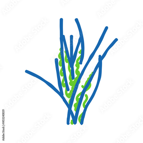 vallisneria spiralis icon doodle illustration
