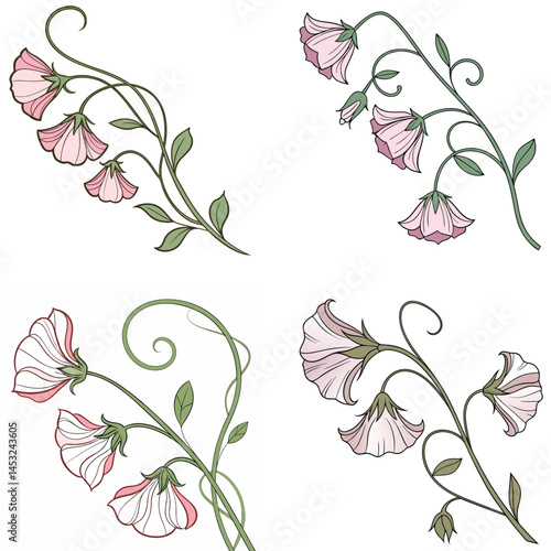 A sweet pea flower icon with delicate, ruffled petals on a climbing 
vine.