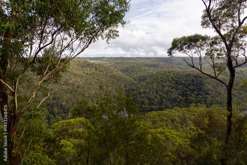 Scenic view of tree and mountain. Scenic view of tree and mountain.