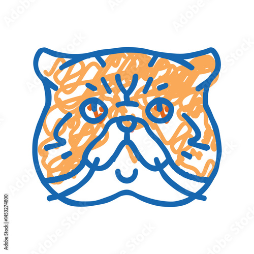 exotic shorthair cat cute pet icon doodle illustration