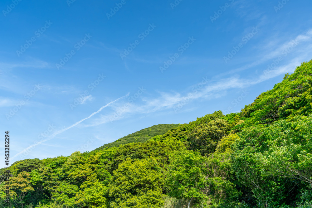 Obraz premium 新緑の山と青空