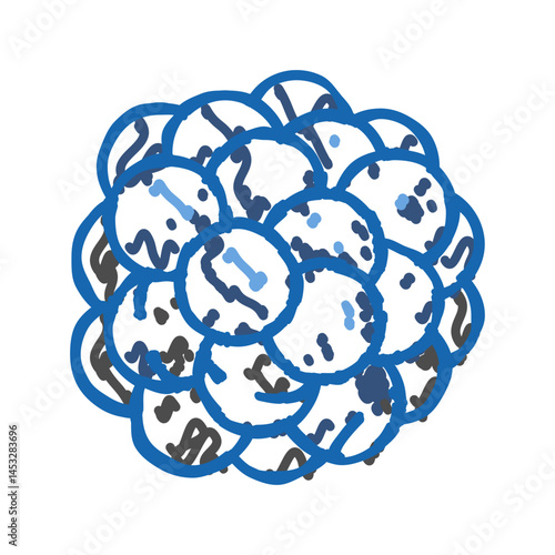 blackberry juicy berry icon doodle illustration