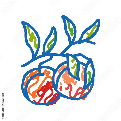 plant branch nectarine icon doodle illustration