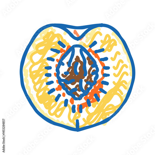 cut peach pit icon doodle illustration