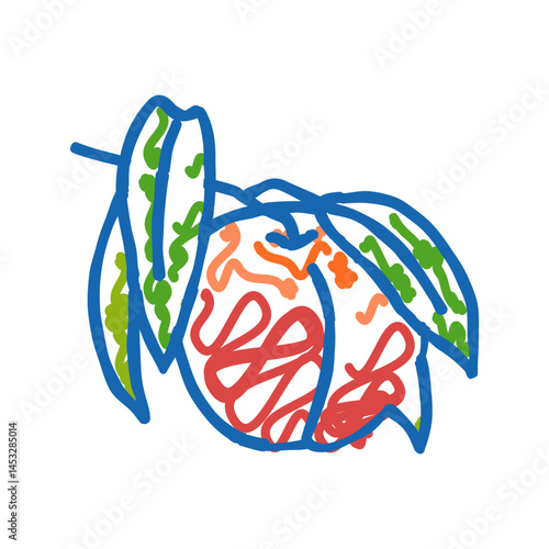 branch nectarine fresh icon doodle illustration