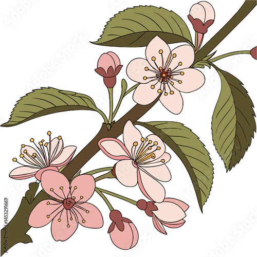 Peach Blossom Branch Vector - Beautiful peach flowers on a branch with leaves, perfect for nature, botanical, and seasonal-themed illustrations
