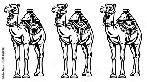 Decorated Camels – Black and White Line Art of Saddled Desert Animals