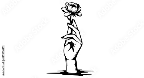  Black and white hand holding flower emerging from dark water, vintage illustration