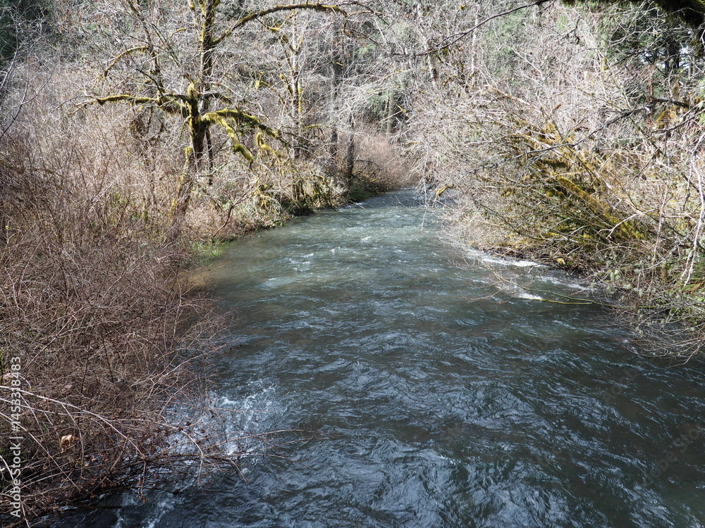 Rushing River