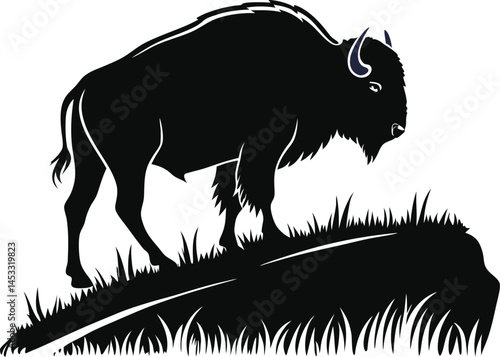 Vector silhouette of buffalo on a plain white background