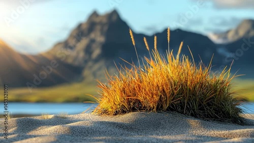 Golden Grass by the Coast: A close-up captures a patch of golden grass growing on a sandy dune with a backdrop of majestic mountains, crystal clear water and the warmth of sunlight.