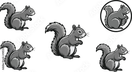 Gray squirrel illustrations in various poses vector set natural forest animals collection 