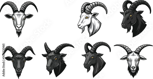 Goat head illustrations with curved horns in black and white vector style detailed animal portraits collection 