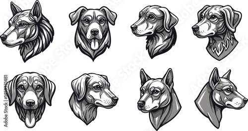 Detailed dog head illustrations showing different dog breeds in black and white vector style animal portraits 
