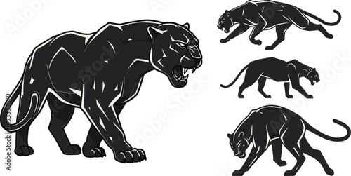 Black panther vector set showing four different poses for wild animal illustration design 