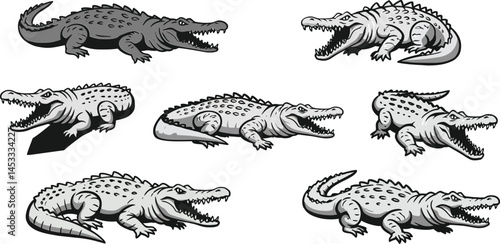 Crocodile vector illustration showing multiple poses and angles of crocodile in grayscale design 