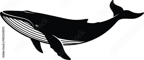 Blue whale silhouette swimming marine mammal ocean animal vector illustration design 