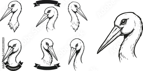 Pelican bird head sketches set with various expressions and accessories for design and illustration uses vector art 
