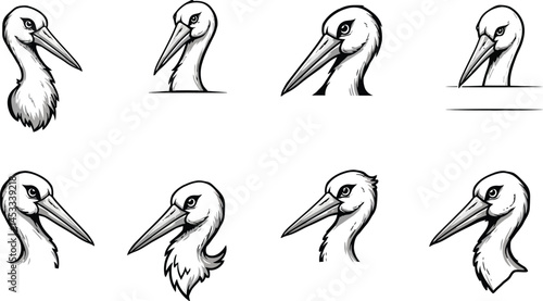 Peacock head silhouettes and peacock with spread tail feather vector illustration in black and white for design and decoration 