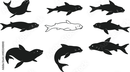 Sea lion animal silhouettes in different poses vector illustration black and white style natural sea mammals 