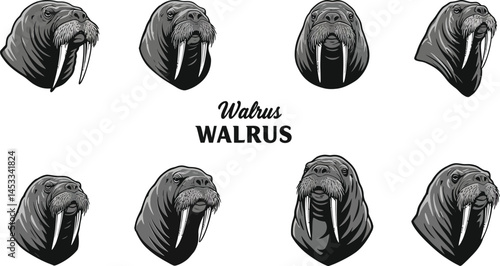 Flamingo head silhouettes vector set with varied side profiles and beak details for design and decoration 