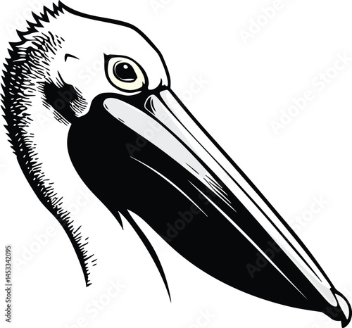 Pelican bird hand drawn sketch vector illustration in black and white with detailed feathers and beak natural style 