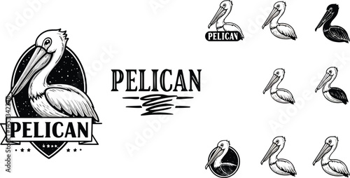Pelican bird sketch set with three different postures hand drawn detailed illustration for wildlife vector design 