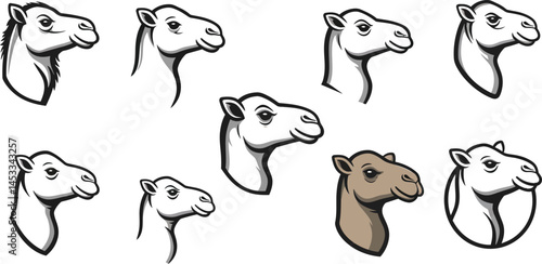 Camel silhouettes in various poses isolated on white background vector illustration 