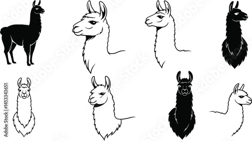 Llama head illustrations in black and white detailed line art style for animal and nature themed vector designs 