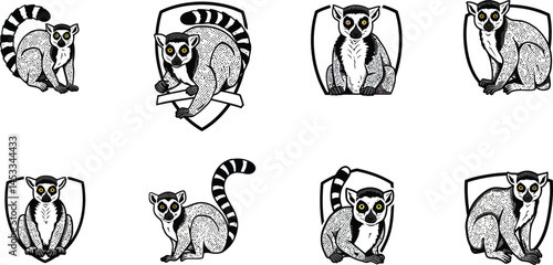 Ring-tailed lemur various poses vector illustration of wild primates with striped tails and expressive faces 