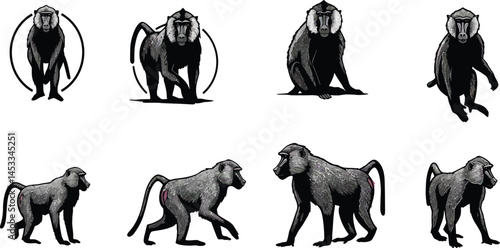 Chimpanzee Vector Set Showing Various Poses and Gestures for Animal Illustration Design 