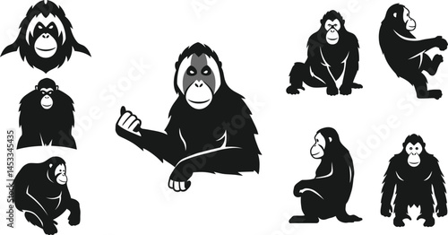 Orangutan Primate Vector Set with Multiple Poses and Natural Brown Fur Illustration for Wildlife Design 