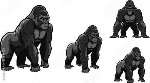 Gorilla vector illustration set with strong and powerful ape poses in black and white design for wildlife and animal themes 