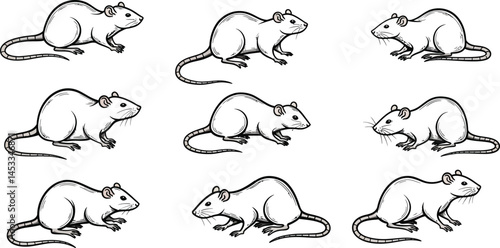 Detailed hand-drawn rats in various poses black and white ink illustration of rodents vector set 