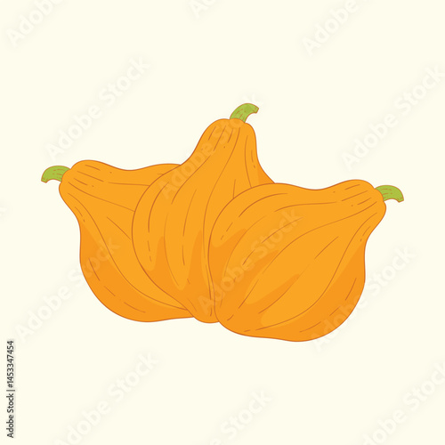 Boston marrow vegetables flat design cartoon illustration