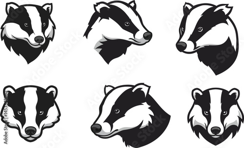 Six different ferret head sketches showing various facial expressions and orientations in black and white line art style 