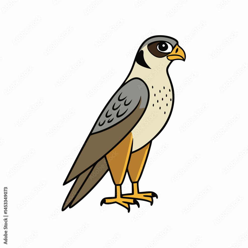 eagle isolated on white background eagle isolated on white background