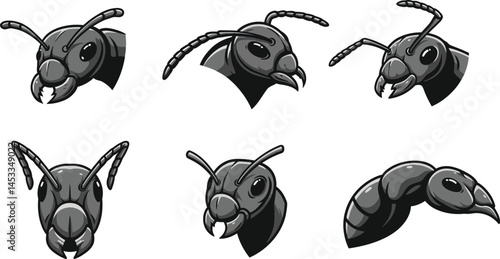 Six detailed black ant heads vector illustration showing various angles and perspectives 