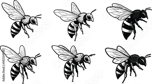 Bee insects collection with wings and striped bodies in black and yellow vector illustration 