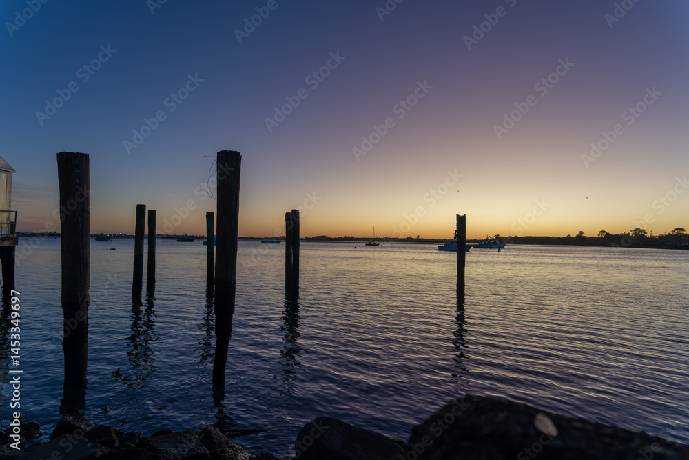 Old mooring posts in Tauranga harbour Old mooring posts in Tauranga harbour