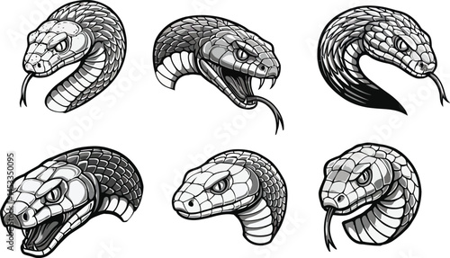 Chameleon head detailed sketch with textured scales and expressive eye in black and white vector illustration 