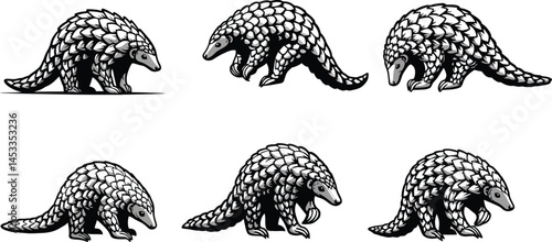 Pangolin animal vector illustration set showing different walking and feeding poses natural wildlife collection 
