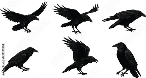 Silhouette crow birds flying perched landing in various poses with black feathers vector illustration 