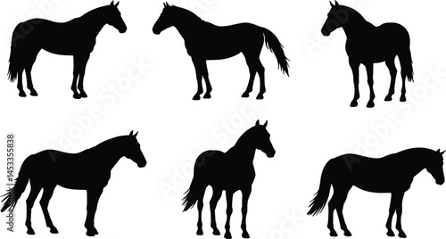 Horse silhouettes vector collection showing different horse poses in black and white illustration style 