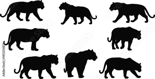 Silhouettes of Wild Big Cats Including Tiger and Bear Vector Illustration in Black Color with Various Poses and Stances 